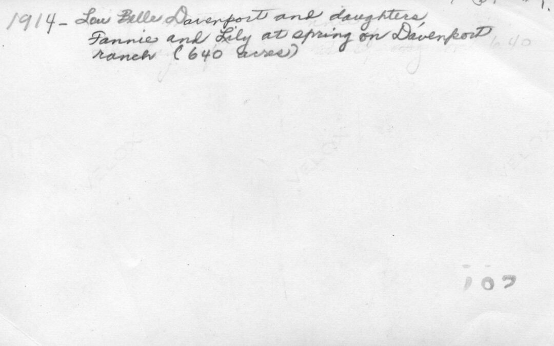Davenport 24b628
