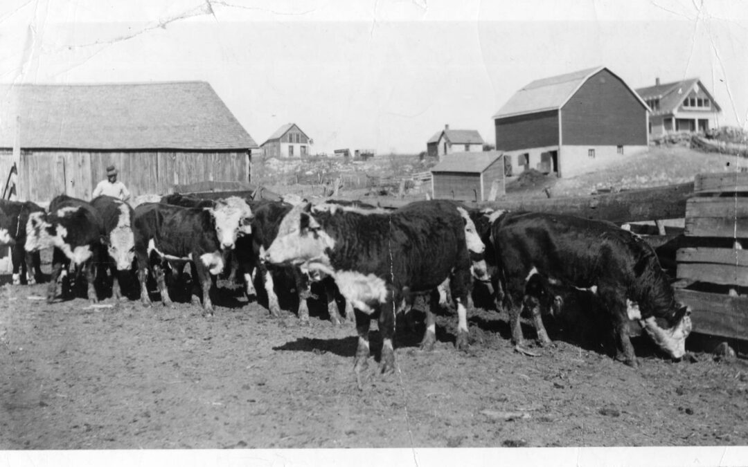 Davenport ranch headquarters a