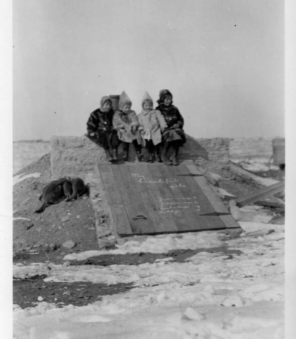 Davenport ranch kids cellar door a