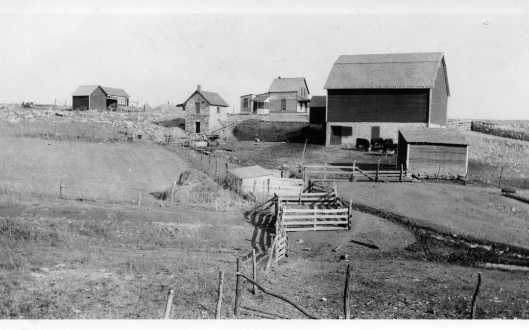 Davenport ranch scene a