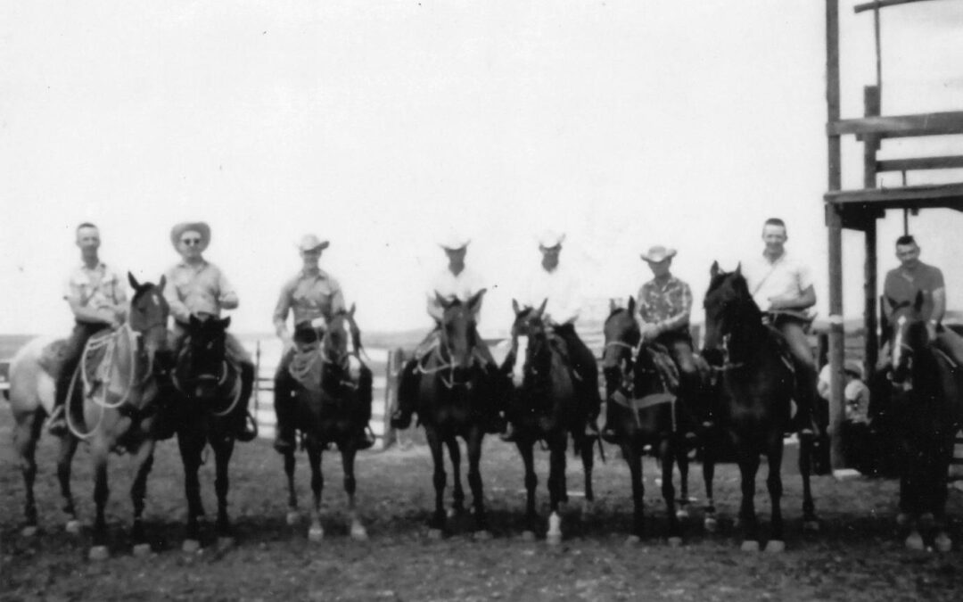 Marten rodeo arena
