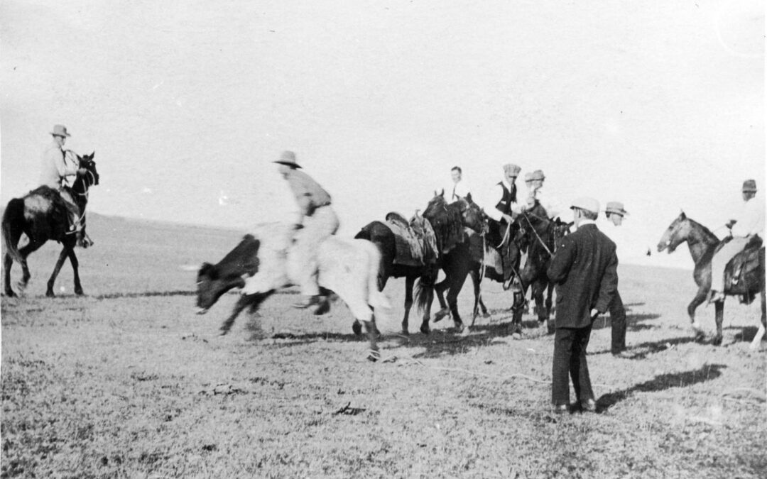Pasture rodeo b c1920 whs
