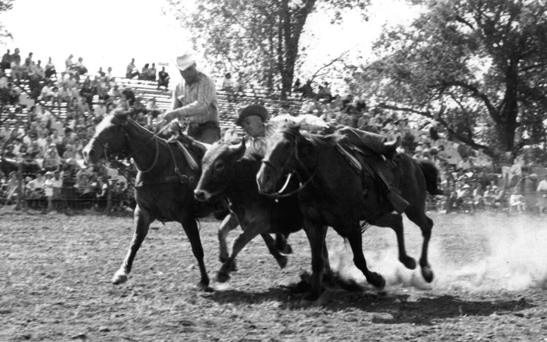 flint cowboy cleo