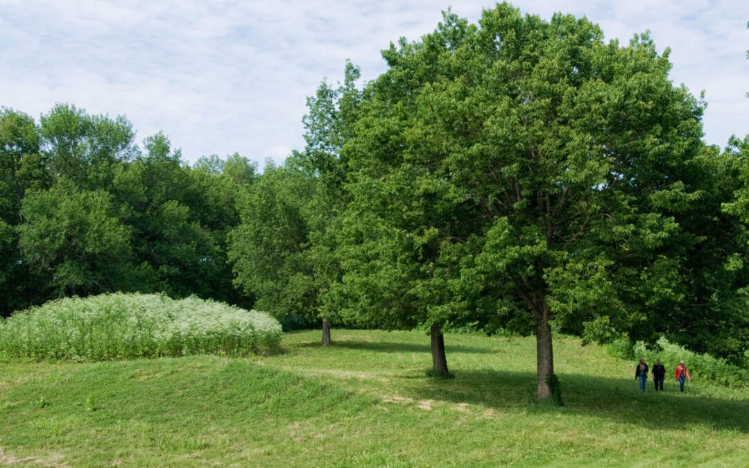 Pioneer Bluffs
