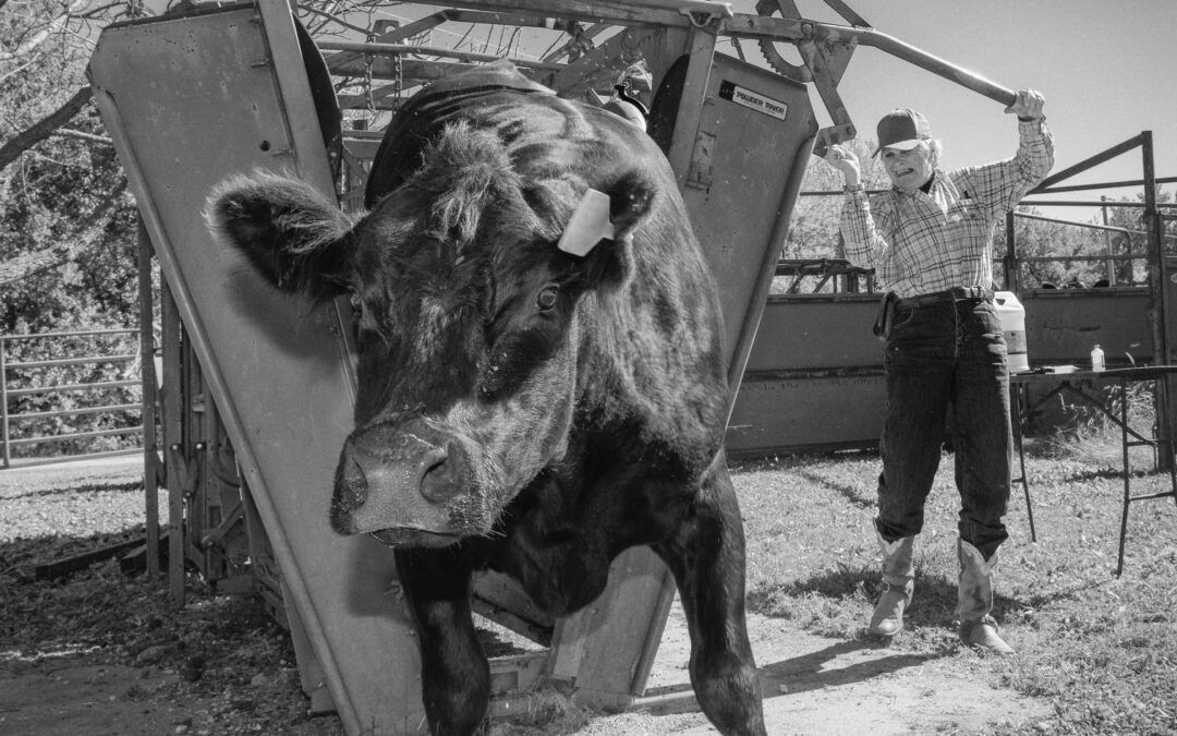 bobbi-godfrey_8107754bw