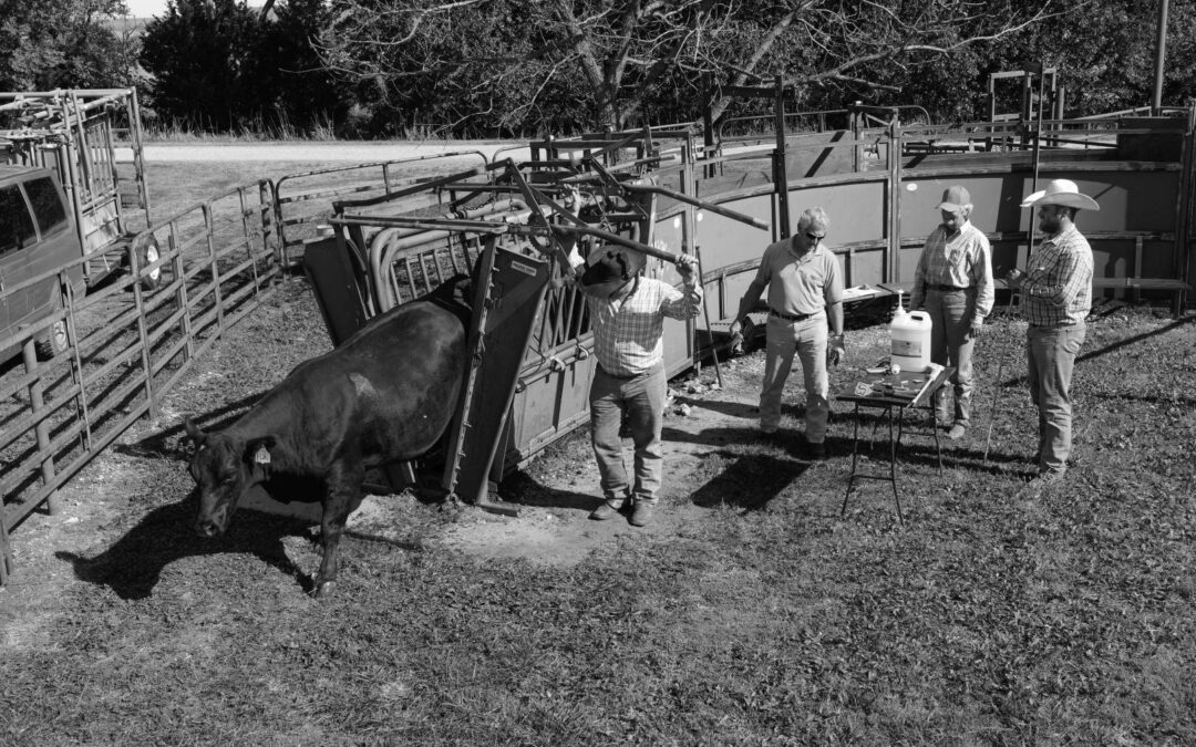 bobbi-godfrey_8107888bw