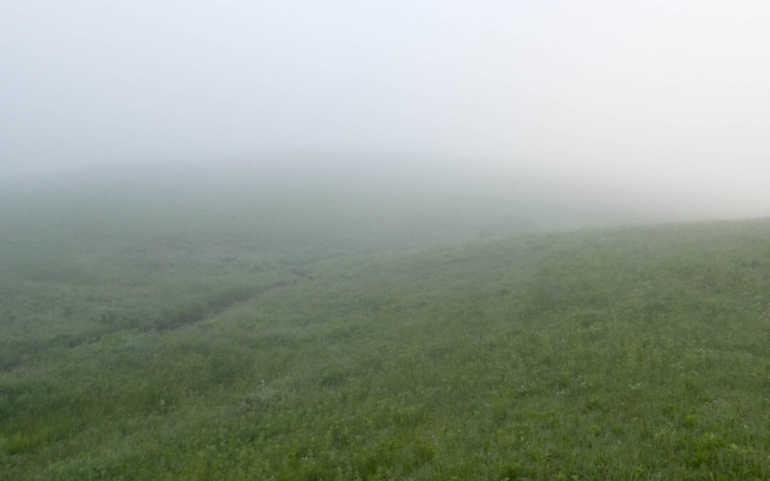 fog_9369-med