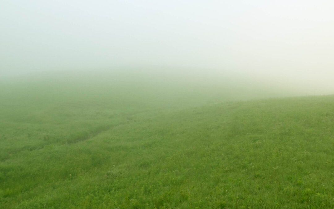fog_9369b-med