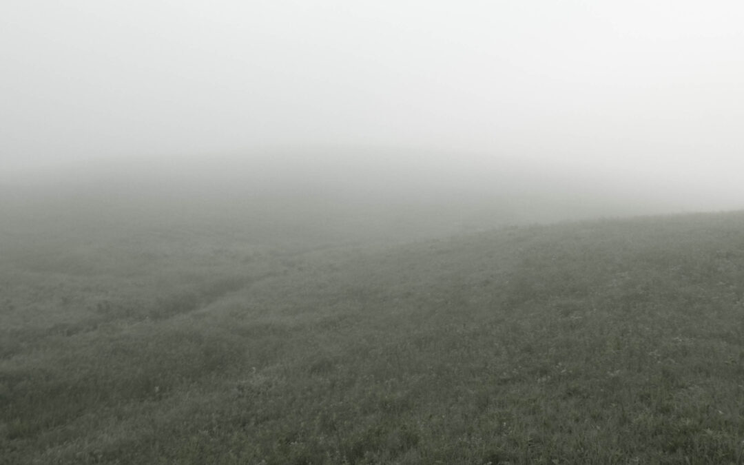 fog_9369c-med