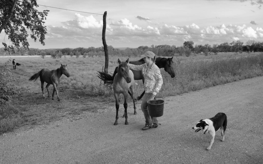 morgan-pudden_8108182-bw