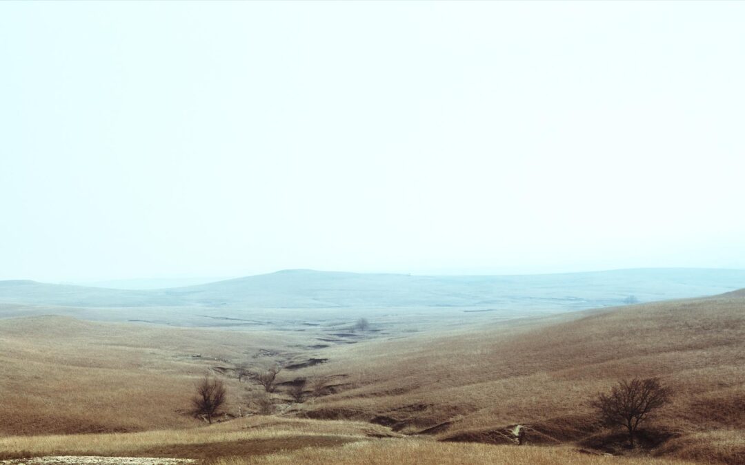 photos-background_0482b