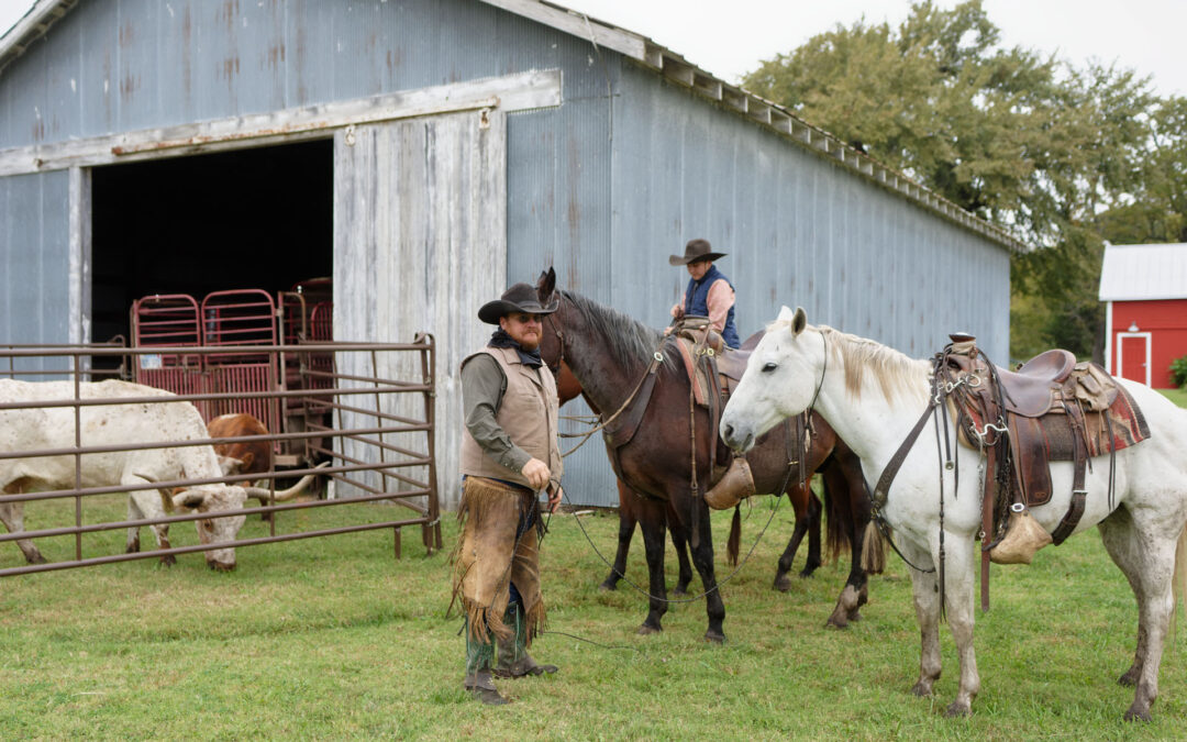 _8107457_fall-roundup-med