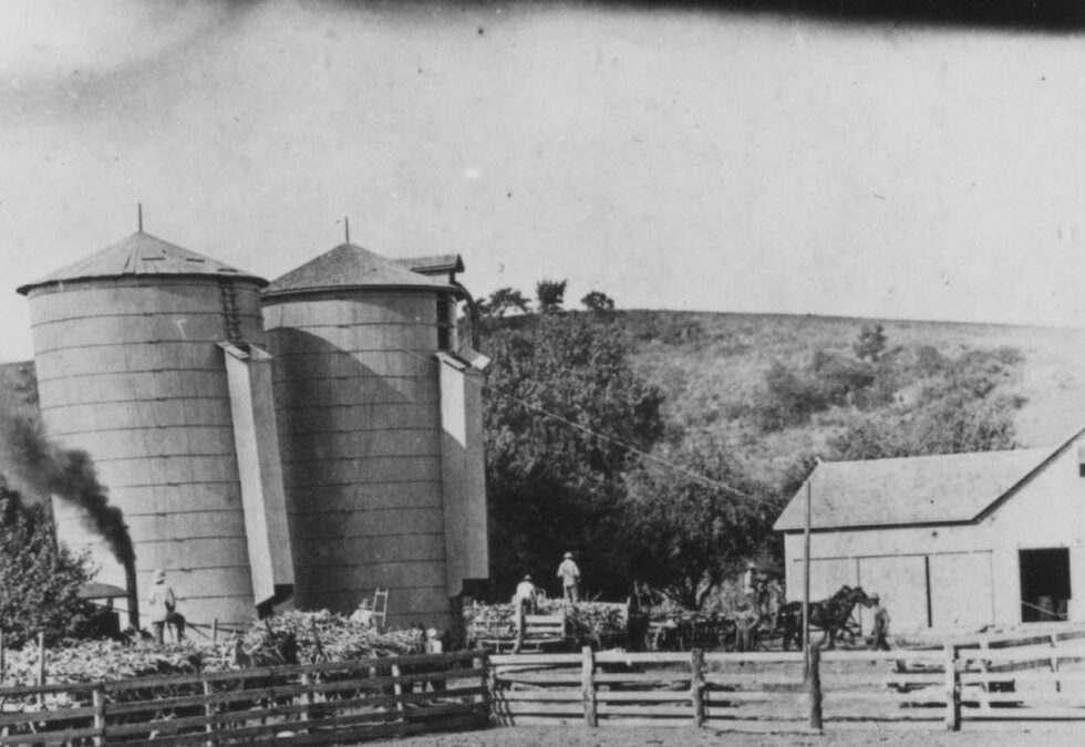 1916-1918 Silos
