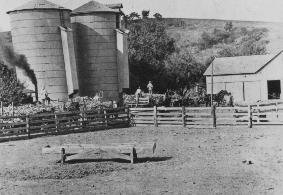 1916-1918 Silos, cropped