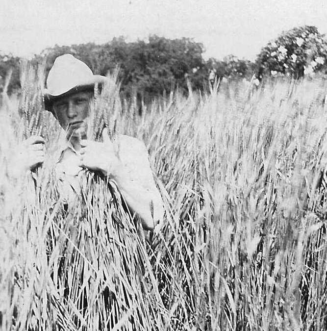 1919, May 25, Wayne Rogler, age 14, in the wheat