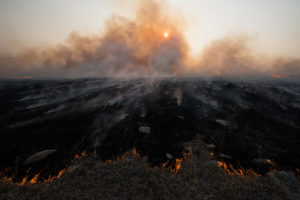 Praire burn smoke darkening the sky