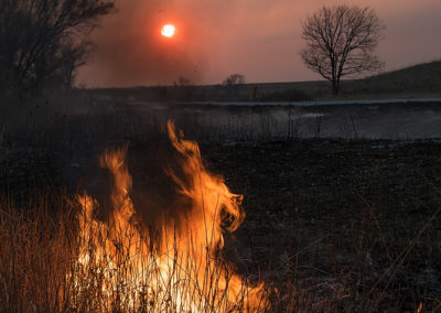 Prairie burn and smoke with dragon shaped flames