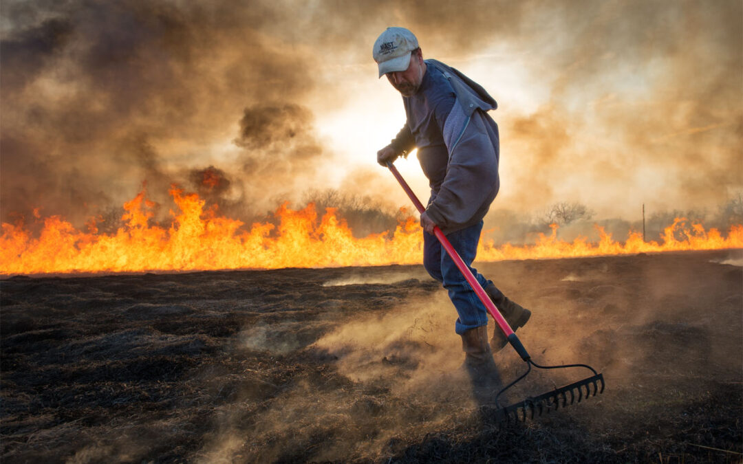 Tending the Embers