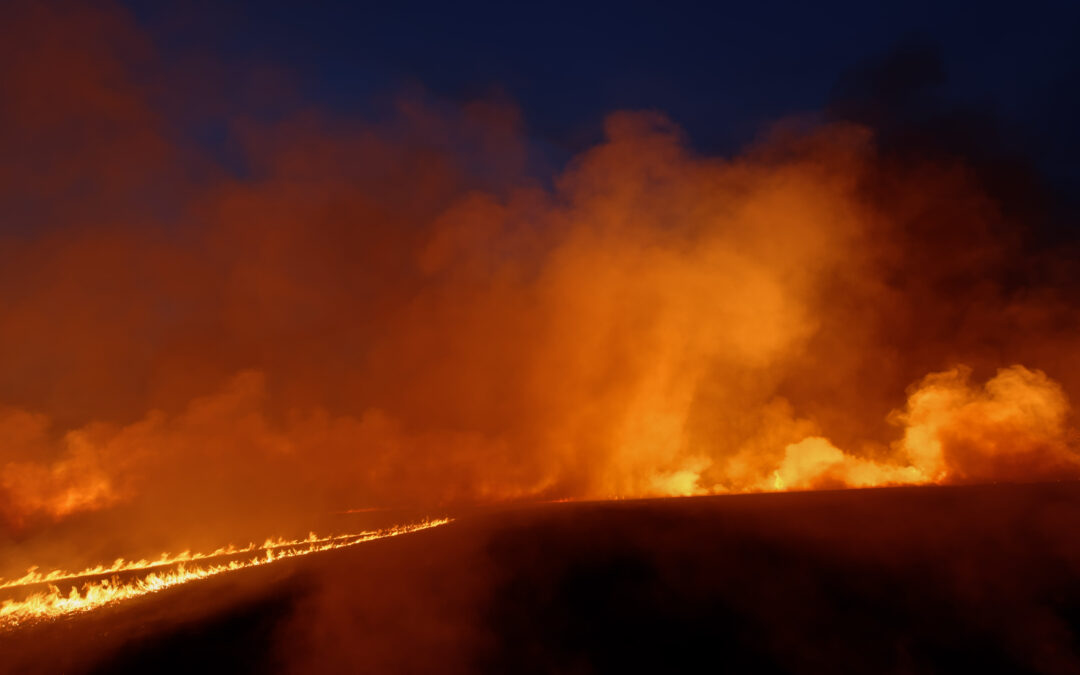 DLL_2213_fire_lg