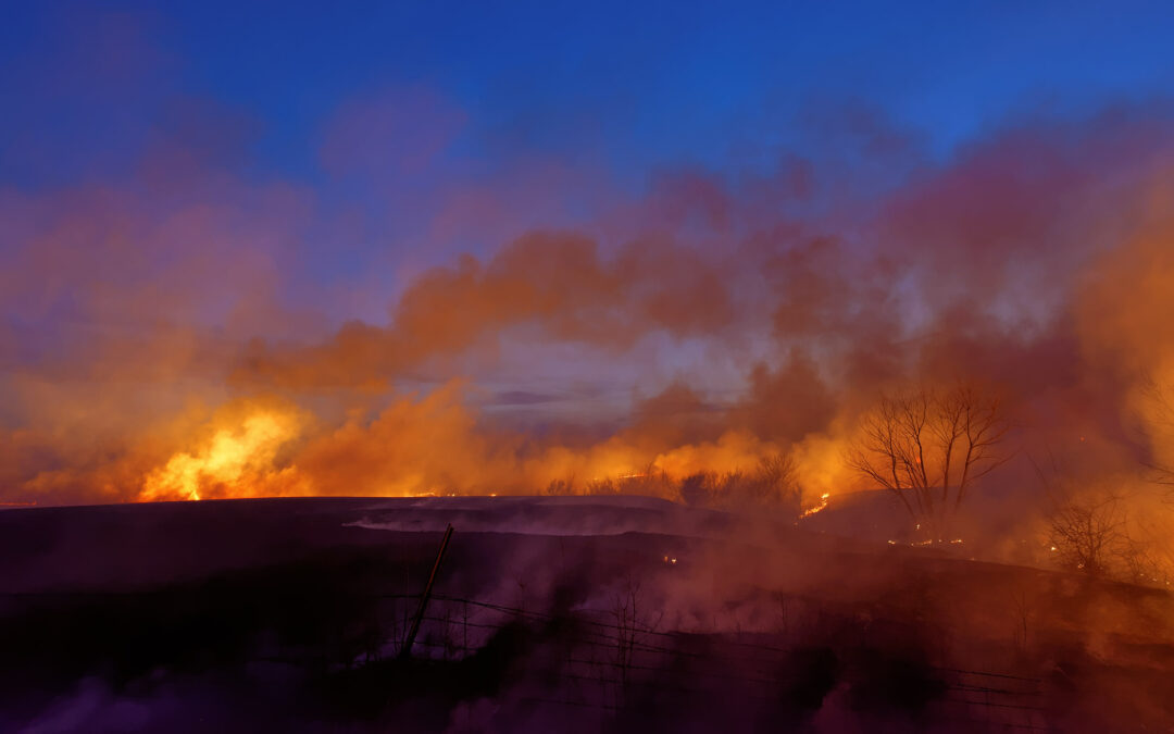 DLL_2231_fire_med