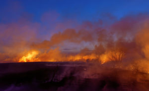 Prairie burn