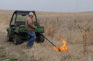 Rancher using a drip torch to start a prescribed burn