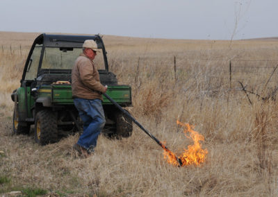 Rancher using a drip torch to start a prescribed burn