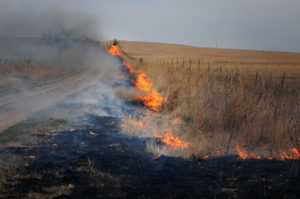 Prairie burn and smoke