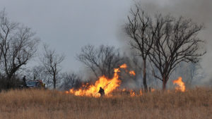 Workers managing a prairie burn