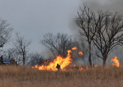 Workers managing a prairie burn