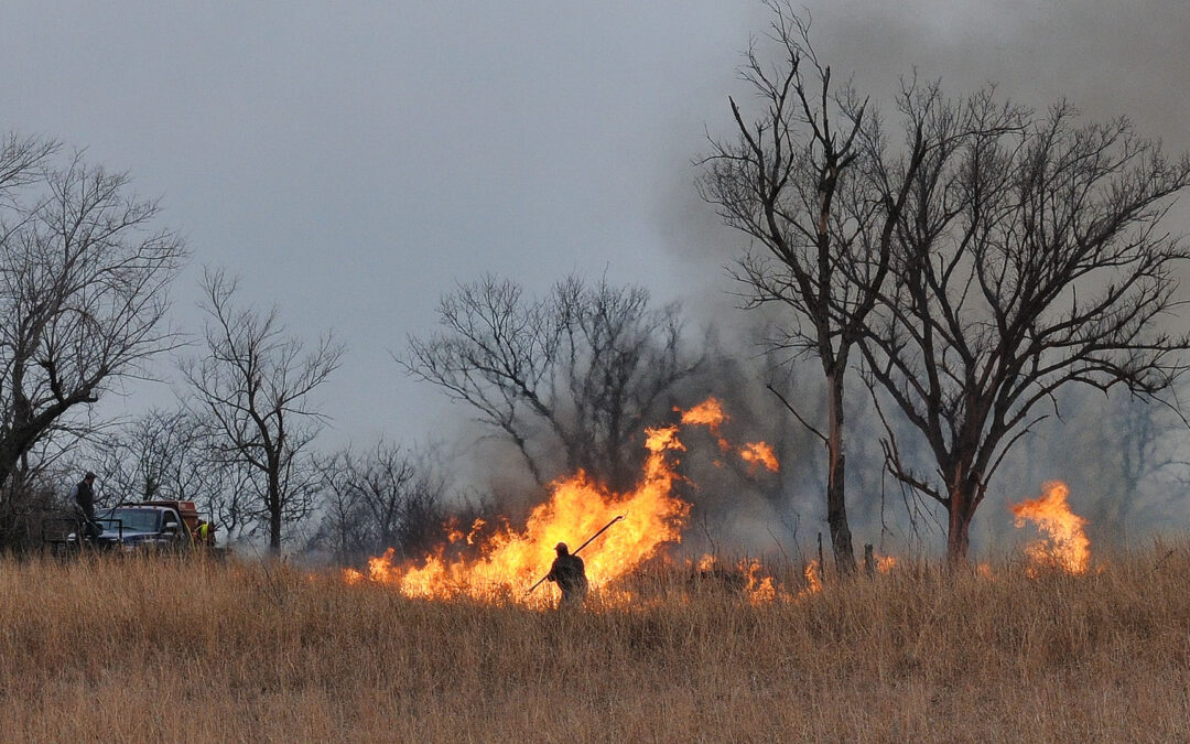 Workers managing a prairie burn