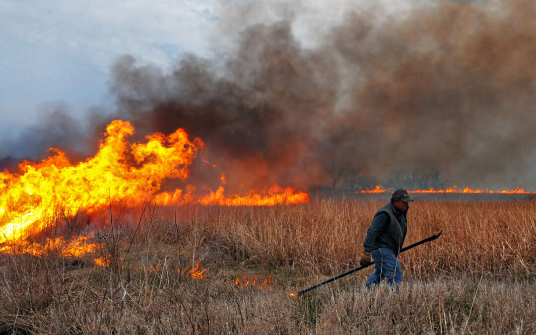 Starting the Fire