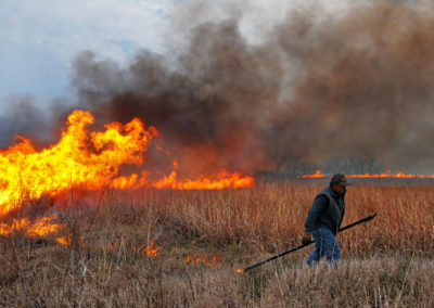 Starting a prairie walking dragging a wand behind