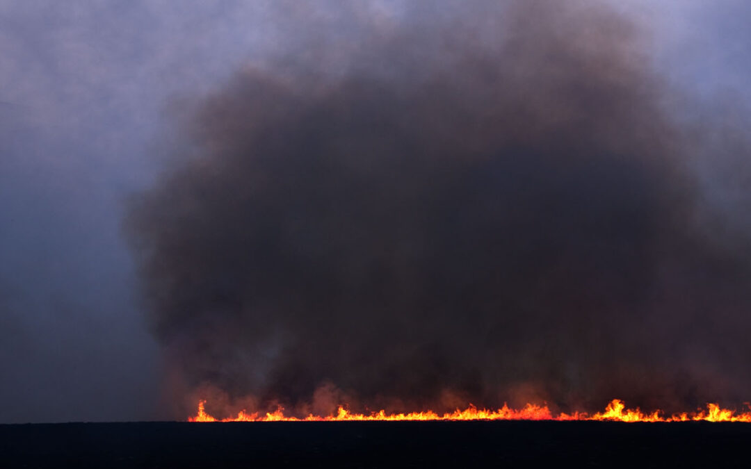 Spring Burn