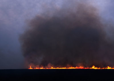 A line of flames and huge cloud of smoke