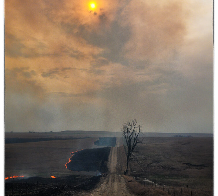 burn_0595c