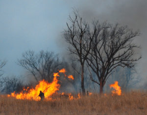 Rancher silhouetted against flames of controlled burn