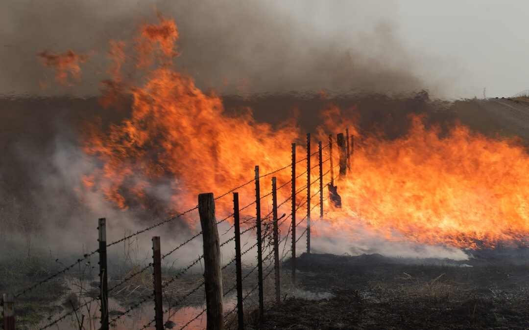 burn_8101027b_med