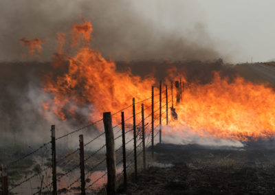 Fence line with strong flames