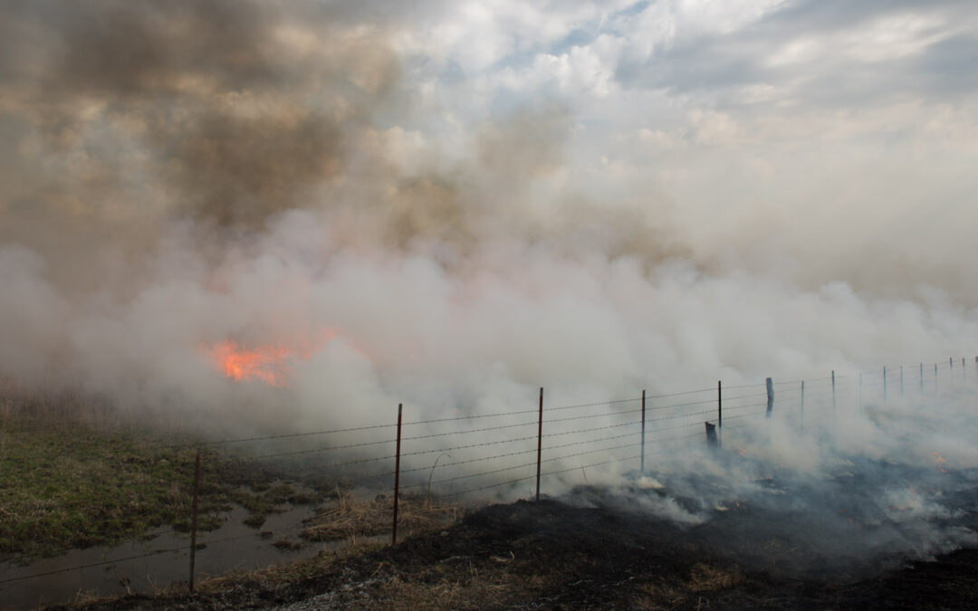 burn_8101043_med