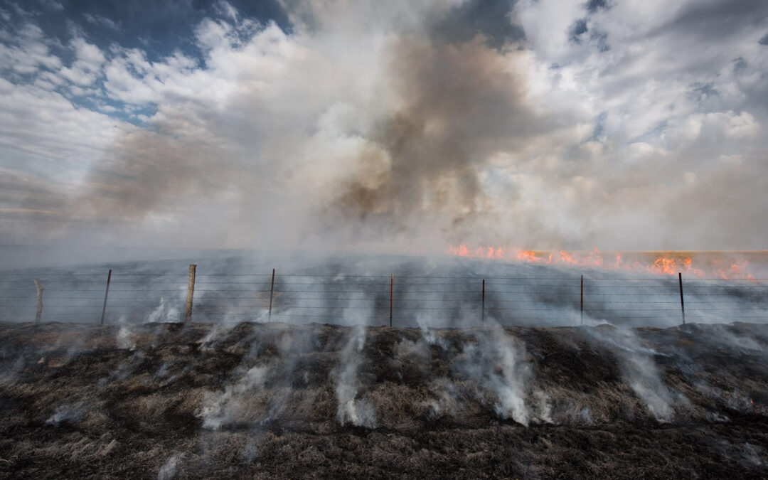 burn_8101097_med
