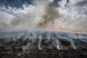 Prairie burn and smoke