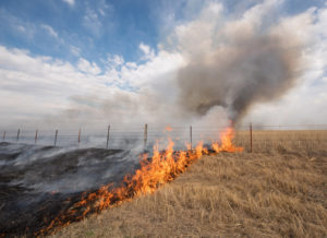 Prairie burn and smoke