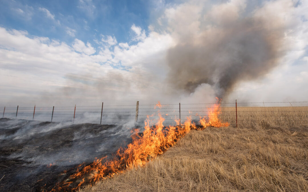 burn_8101114b_med