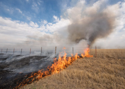 Prairie burn and smoke