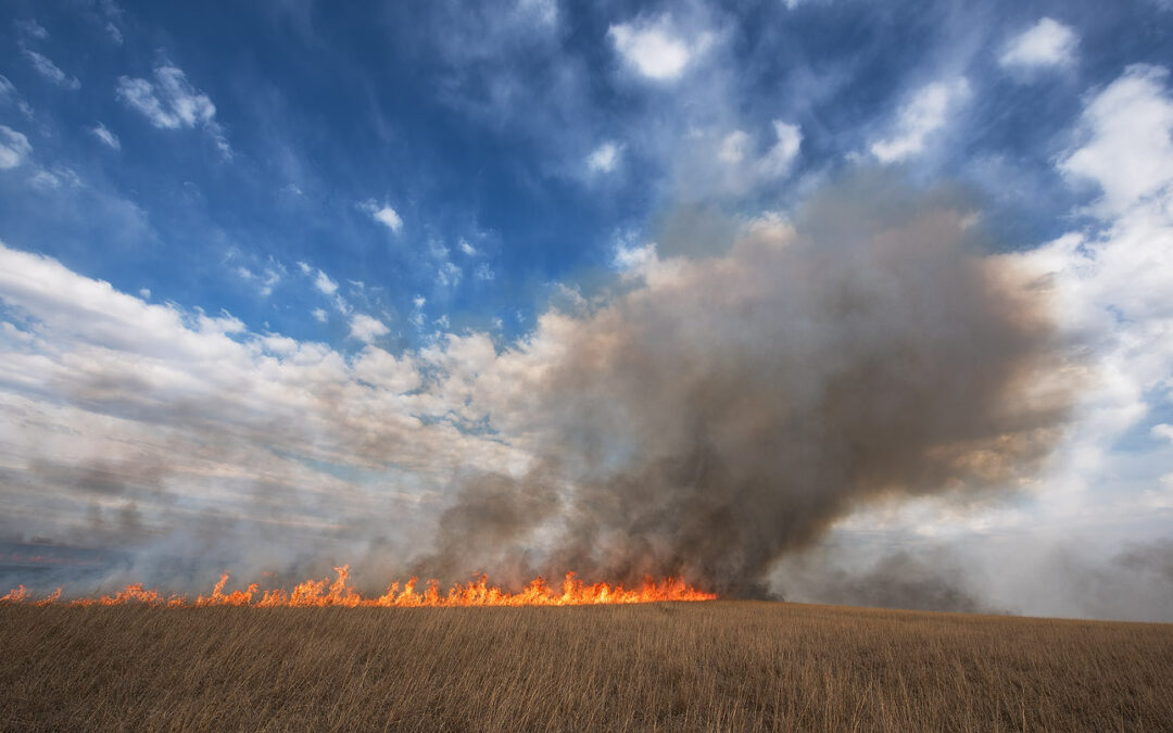 burn_8101121b_med