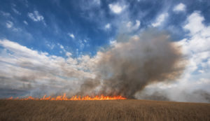 Prairie burn and smoke