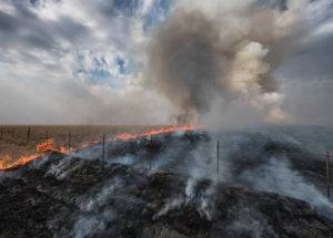 Prairie burn and smoke