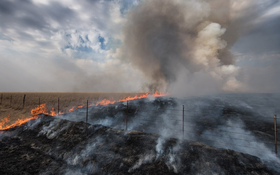 burn_8101182_med