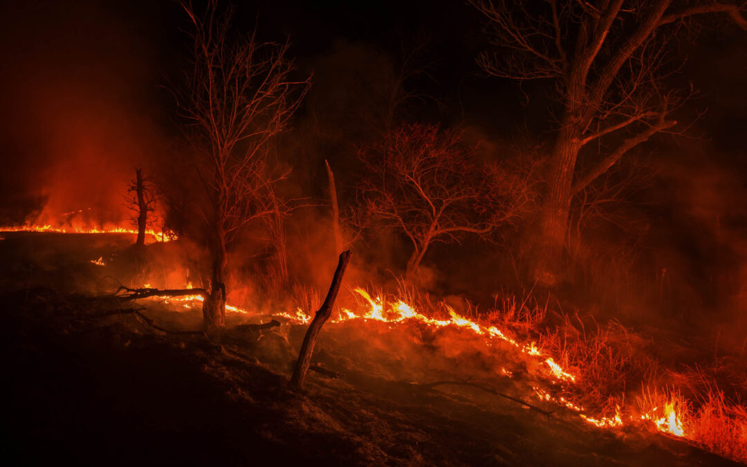 Edge of the Fire
